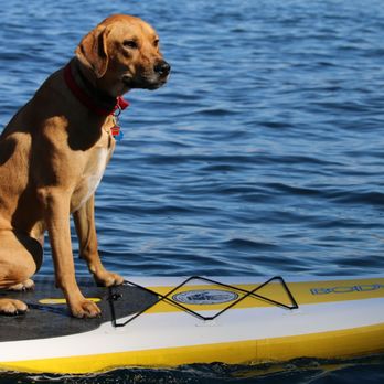 Lake Chelan State Park - Toby's first time on a paddle board. He did awesome! (8/19/2017) - Parks Near Me - Chelan, Washington