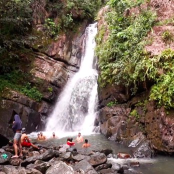El Yunque Rainforest - La Mina Falls around 5pm filled with swimmers and tours. - Hiking Near Me - Luquillo, Puerto Rico El Yunque Rainforest - La Mina Falls around 5pm filled with swimmers and tours. - Hiking Near Me - Luquillo, Puerto Rico