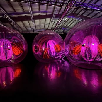 Balloon Museum - Art Museums Near Me - Los Angeles, California