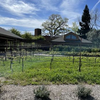 Cakebread Cellars - Wineries Near Me - Rutherford, California