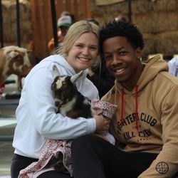 Goat Yoga at Sugar Sweet Farm