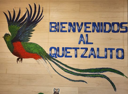 Deli El Chapincito by null