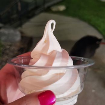 Lyons Frozen Custard - Pup cup - Ice Cream & Frozen Yogurt Near Me - Saint Charles, Missouri Lyons Frozen Custard - Pup cup - Ice Cream & Frozen Yogurt Near Me - Saint Charles, Missouri