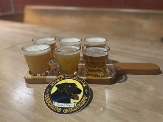 Lucky Labrador Beer Hall by null