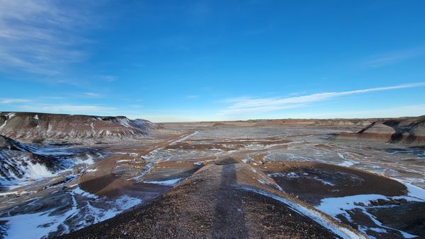 Petrified Forest National Wilderness Area by null