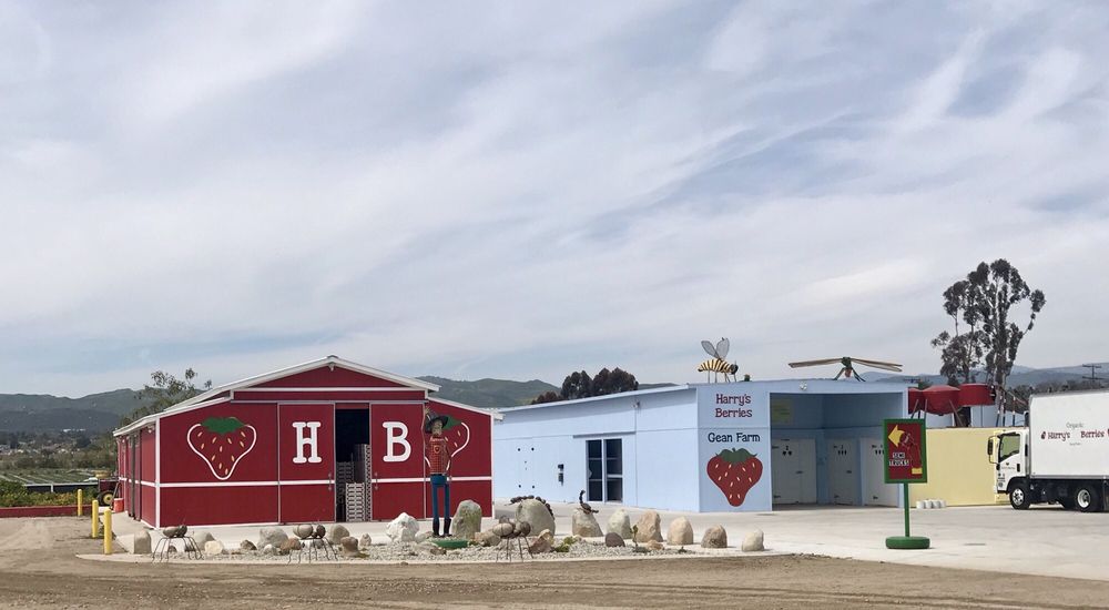 HARRY’S BERRIES 18 Photos & 15 Reviews 5777 E Vineyard Ave, Oxnard