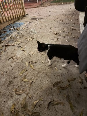 The Post Beer & Wine Garden by null