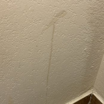 Econo Lodge - Dirty bathroom wall - Hotels Near Me - Richmond Hill, Georgia