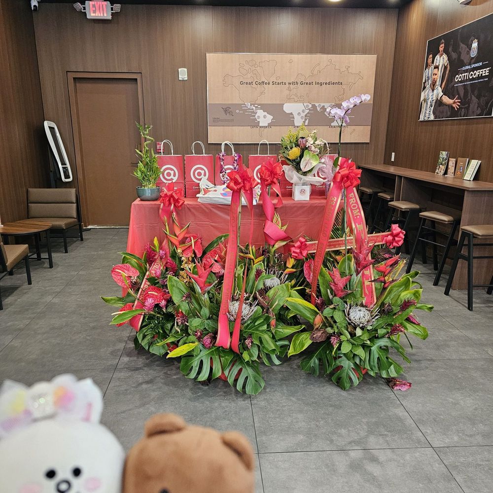 Cotti Coffee - Inside... clean and calm with Congratulatory bouquets on the floor - Coffee & Tea Near Me - Honolulu, Hawaii Cotti Coffee - Inside... clean and calm with Congratulatory bouquets on the floor - Coffee & Tea Near Me - Honolulu, Hawaii