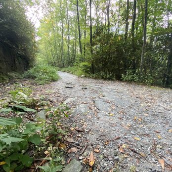 Whiteside Mountain Trail - More gradual trail. - Hiking Near Me - Highlands, North Carolina