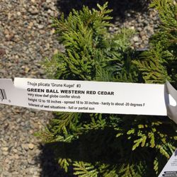 The Plant Place Nursery
