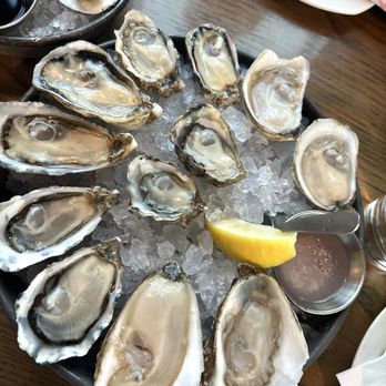 Taylor Shellfish Oyster Bar - SHUCKERS DOZEN* - Seafood Near Me - Seattle, Washington Taylor Shellfish Oyster Bar - SHUCKERS DOZEN* - Seafood Near Me - Seattle, Washington