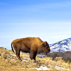 Barraca Travel Adventures