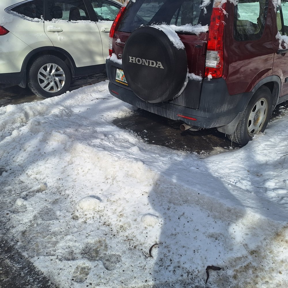 C & D Lawn and More - tree service in Cohoes, NY