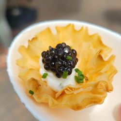 Taste of Sonoma