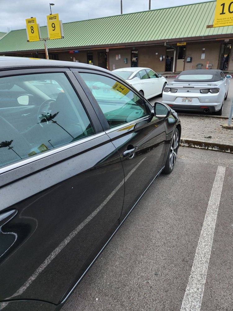 HERTZ RENT A CAR Updated September 2024 20 Photos & 36 Reviews