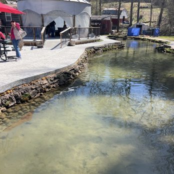 ENGLISH MOUNTAIN TROUT FARM & GRILL - Updated February 2026 - 282
