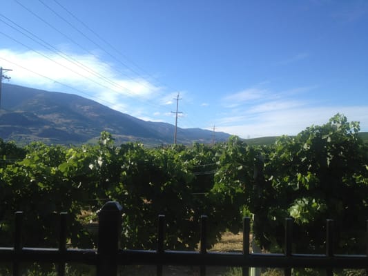 Black Hills Estate Winery by null