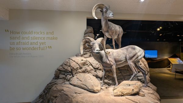 Furnace Creek Visitor Center by null