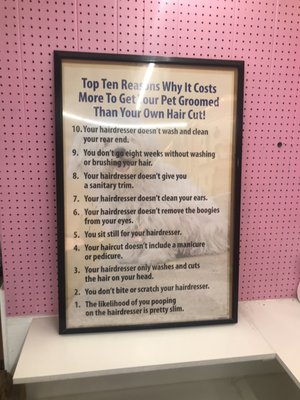 pink poodle converse