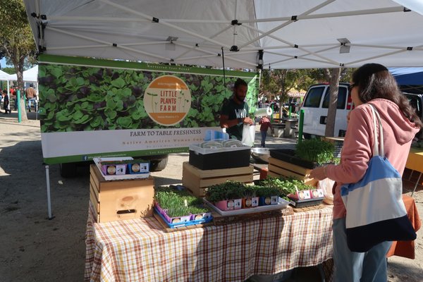 Santa Monica Saturday Pico Farmers Market by null