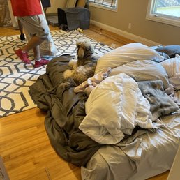 Packing the master bedroom. Packing the master bedroom.