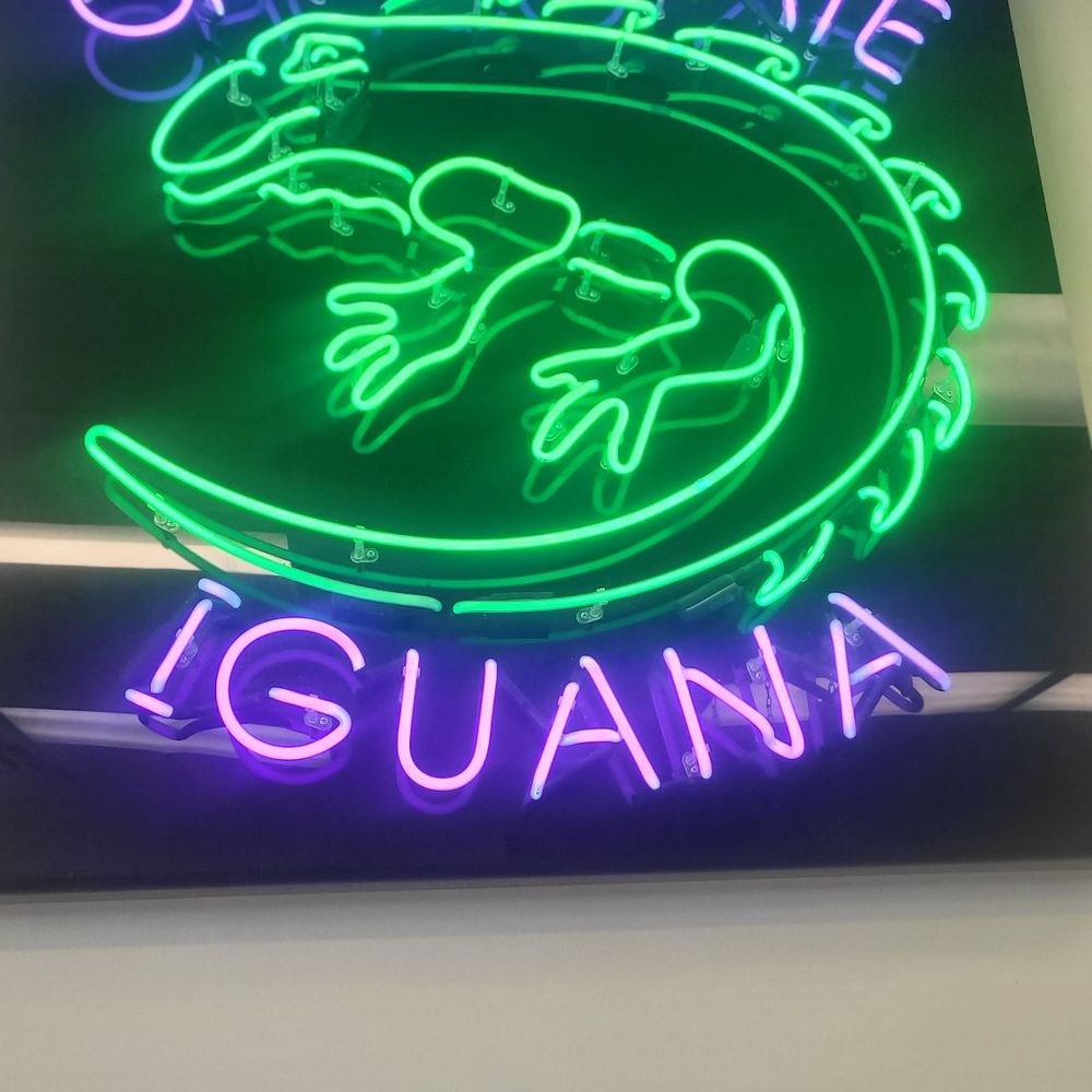Chocolate Iguana - Cute - Coffee & Tea Near Me - Tucson, Arizona Chocolate Iguana - Cute - Coffee & Tea Near Me - Tucson, Arizona