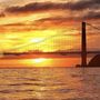Photo of Ashes On The Bay