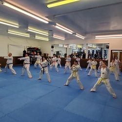 Port Huron Tae Kwon Do