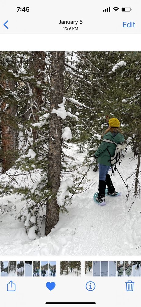 Wild Hare Snowshoe Tours Logo