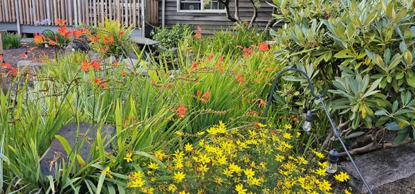 Cannon Beach Ecola Creek Lodge