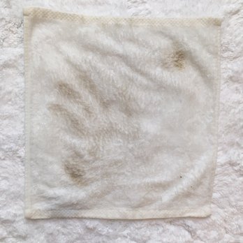The Adelphi Hotel - Dirty facecloth after I used to wipe across the hotel floor - Hotels Near Me - Saratoga Springs, New York The Adelphi Hotel - Dirty facecloth after I used to wipe across the hotel floor - Hotels Near Me - Saratoga Springs, New York