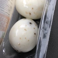 Sheetz - Probably shouldn't eat the eggs.