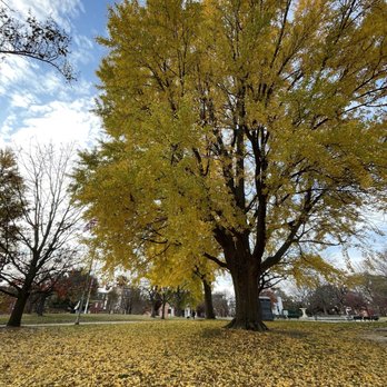 Patterson Park - Landmarks & Historical Buildings Near Me - Baltimore, Maryland