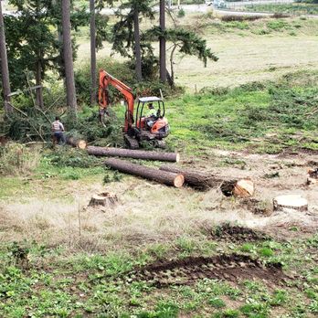 Shepherd's Tree Service and Excavation - Tree Services Near Me Shepherd's Tree Service and Excavation - Tree Services Near Me