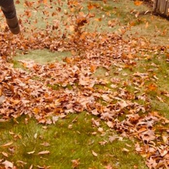 Great View Landscape - Fall and Spring Clean Up - Snow Removal Near Me - Barrington, New Hampshire Great View Landscape - Fall and Spring Clean Up - Snow Removal Near Me - Barrington, New Hampshire