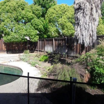 Low Cost Hauling & Cleaning - Backyard weeding. Before - Home Cleaning Near Me