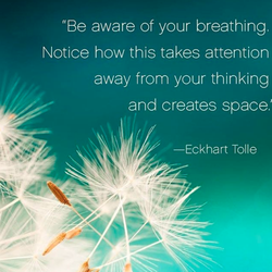 Jolie Terre Beauty & Wellness - Breath Work Coaching