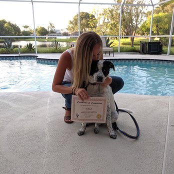 Wisney's Way Dog Training - Pet Training Near Me - Melbourne, Florida Wisney's Way Dog Training - Pet Training Near Me - Melbourne, Florida