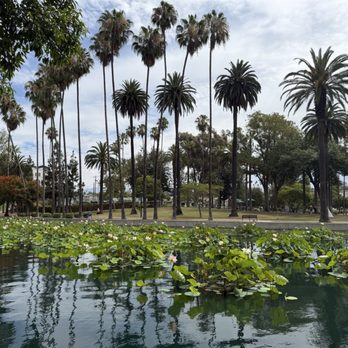 Echo Park Lake - Parks Near Me - Los Angeles, California Echo Park Lake - Parks Near Me - Los Angeles, California