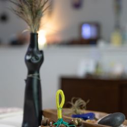 Rainbow Raaja - Energy Clearing and Shamanic extraction allow the body to recover from energetic trauma.