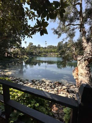 Self-Realization Fellowship International Headquarters by null
