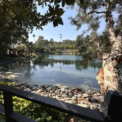 Self Realization Fellowship