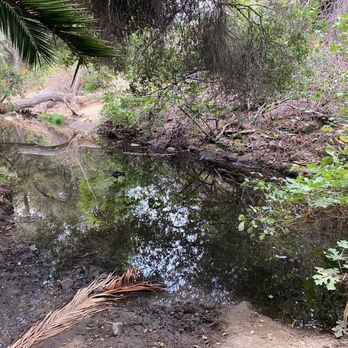 Michael D. Antonovich Trail - Hiking Near Me - San Dimas, California Michael D. Antonovich Trail - Hiking Near Me - San Dimas, California