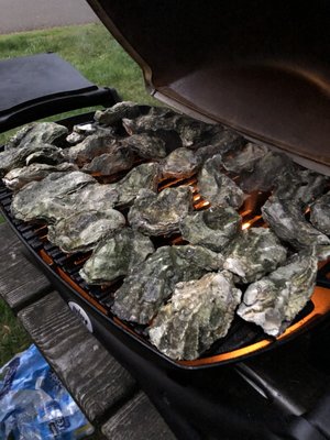 Oregon Oyster Farms by null