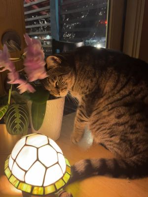 Leikam Brewing by null