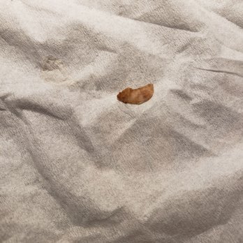 China Garden - There was a fingernail in our food...no excuse and absolutely disgusting...we threw everything out. - Chinese Near Me - Richfield, Minnesota