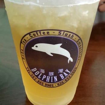 Dolphin Bay - Jasmine Green Tea. Pretty sweet. - Taiwanese Near Me - Boston, Massachusetts Dolphin Bay - Jasmine Green Tea. Pretty sweet. - Taiwanese Near Me - Boston, Massachusetts