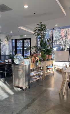Cadejo Coffee by null