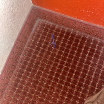 Super 8 by Wyndham Lavonia - we got in this room and found this on the floor, im so disgusted - Hotels Near Me - Lavonia, Georgia Super 8 by Wyndham Lavonia - we got in this room and found this on the floor, im so disgusted - Hotels Near Me - Lavonia, Georgia